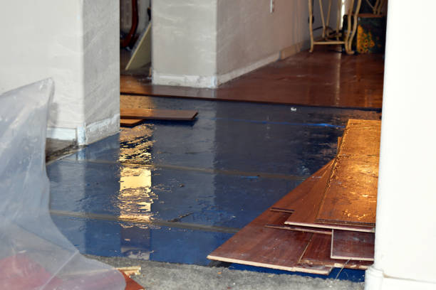 Professional Basement Flood Cleanup technician working in Roslyn, WA